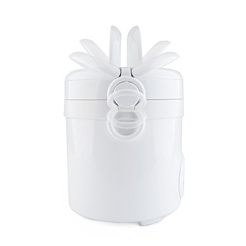 Aroma Mini Rice Cooker Review Digital Controls and Compact Design for Small Kitchens Aroma Mini Rice Cooker Review Digital Controls and Compact Design for Small Kitchens