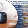 Bear Mini Rice Cooker Review Compact 2-Cup Portable Option for Small Kitchens and Travel