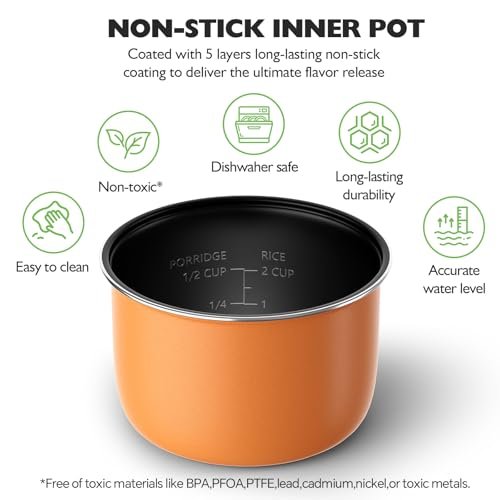 Compact TLOG 140 Rice Cooker Review Healthy Non-Stick Portable Travel Cooker