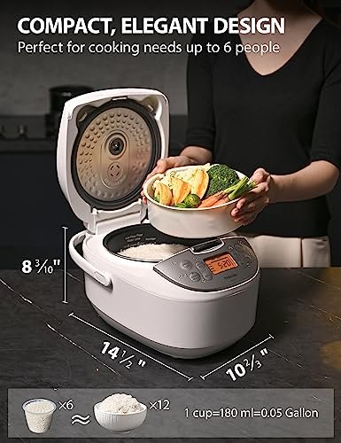 Comprehensive review of the Toshiba TRCS01 rice cooker with fuzzy logic technology