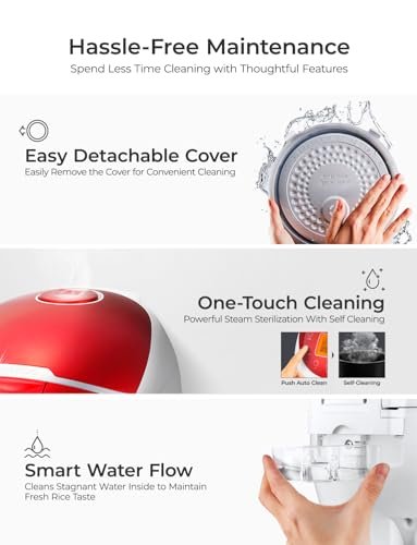 Cuckoo Micom Rice Cooker CR-0655F Review Best Small Appliance for Perfect Rice