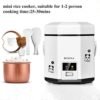 DCIGNA Mini Rice Cooker Review Portable 1.2L Electric Lunch Box Features Tested DCIGNA Mini Rice Cooker Review Portable 1.2L Electric Lunch Box Features Tested
