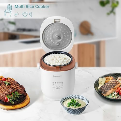 Eamoment Mini Rice Cooker Review Multifunctional Small Appliance with Advanced Features