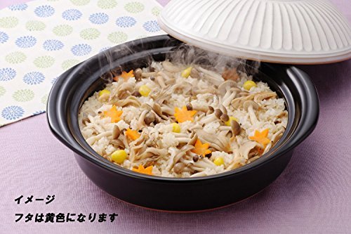 Ginpo Earthenware Pottery Chrysanthemum Review Best Japanese Rice Cooker for Families