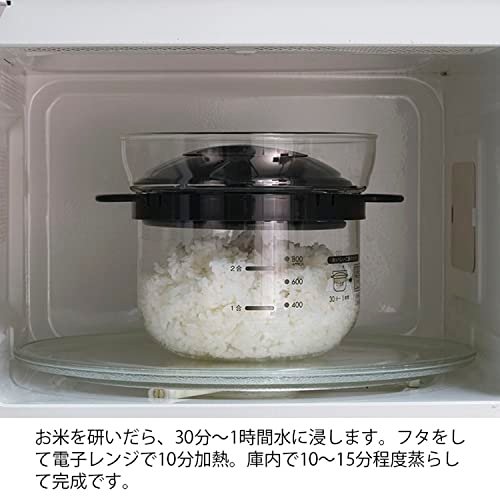 Hario Glass Microwave Rice Pot XRCN-2-B Review Best Compact Rice Cooker for Quick Meals