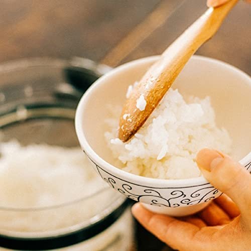 Hario Glass Microwave Rice Pot XRCN-2-B Review Best Compact Rice Cooker for Quick Meals