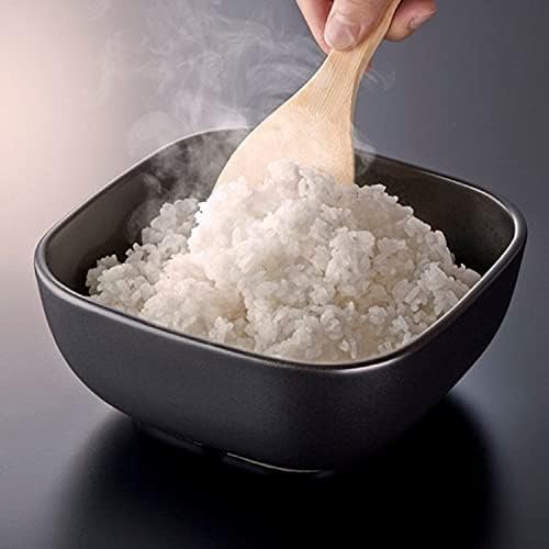 Hario GO-2B Rice Pot Review Microwave Safe Ceramic Rice Cooker from Japan Hario GO-2B Rice Pot Review Microwave Safe Ceramic Rice Cooker from Japan