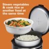 In-Depth Review of Hamilton Beach Programmable Rice Cooker and Slow Cooker Combo In-Depth Review of Hamilton Beach Programmable Rice Cooker and Slow Cooker Combo