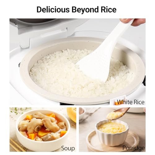 Joydeem Ceramic Rice Cooker Review Full Ceramic Pot and Smart 24 Hour Delay Features Joydeem Ceramic Rice Cooker Review Full Ceramic Pot and Smart 24 Hour Delay Features