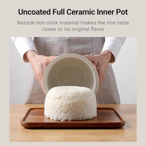 Joydeem Ceramic Rice Cooker Review Full Ceramic Pot and Smart 24 Hour Delay Features Joydeem Ceramic Rice Cooker Review Full Ceramic Pot and Smart 24 Hour Delay Features