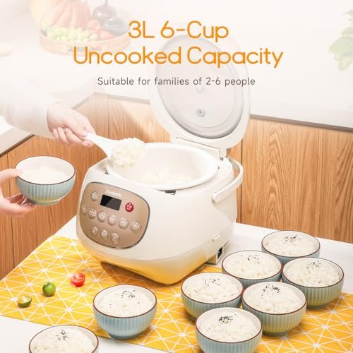 Joydeem Ceramic Rice Cooker Review Full Ceramic Pot Healthy Cooking Benefits Joydeem Ceramic Rice Cooker Review Full Ceramic Pot Healthy Cooking Benefits