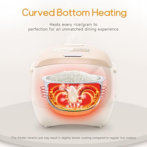 Joydeem Ceramic Rice Cooker Review Full Ceramic Pot Healthy Cooking Benefits Joydeem Ceramic Rice Cooker Review Full Ceramic Pot Healthy Cooking Benefits