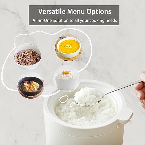 Olayks Mini Rice Cooker Review Compact 2 Cup Electric Cooker with Preset Functions Olayks Mini Rice Cooker Review Compact 2 Cup Electric Cooker with Preset Functions