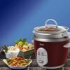 Oster Electric Rice Cooker Review Compact 6 Cup Model with Steamer Features Oster Electric Rice Cooker Review Compact 6 Cup Model with Steamer Features
