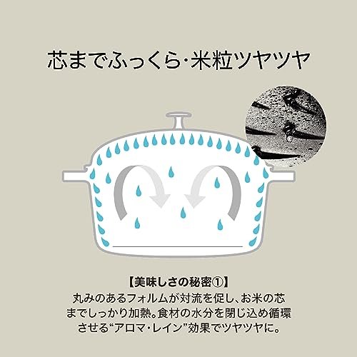 Staub La Cocotte de GOHAN Rice Cooker Review Cast Iron Pot Performance Tested Staub La Cocotte de GOHAN Rice Cooker Review Cast Iron Pot Performance Tested
