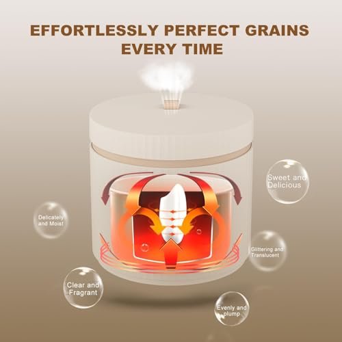 TOKIT 1.5 L Mini Rice Cooker Review Multifunctional Small Appliance with Touch Display TOKIT 1.5 L Mini Rice Cooker Review Multifunctional Small Appliance with Touch Display