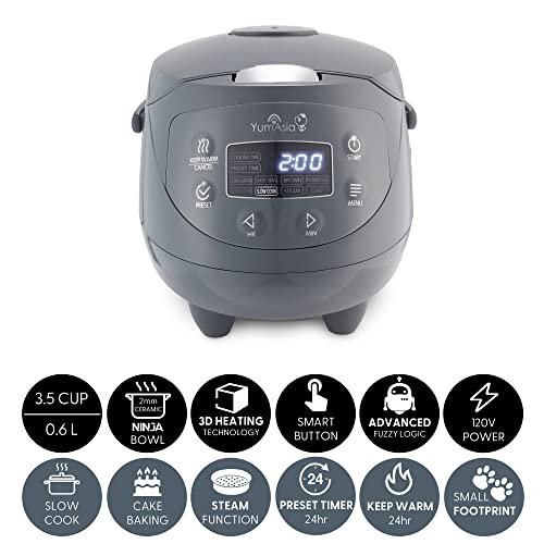 Yum Asia Panda Mini Rice Cooker review advanced features and ceramic bowl benefits Yum Asia Panda Mini Rice Cooker review advanced features and ceramic bowl benefits